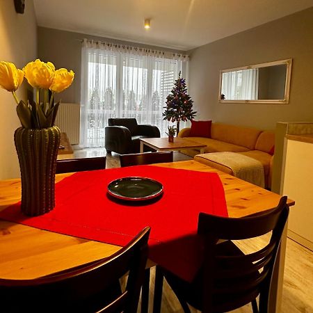 Apartament Z Widokiem Na Szyndzielnie Бельсько-Бяла Екстер'єр фото